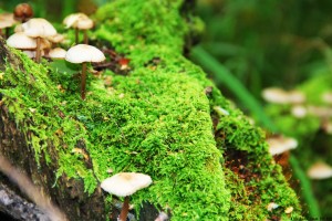 世界举重青年联赛选手成长案例集出版发行，举重世界锦标赛