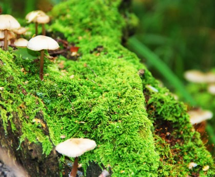 世界举重青年联赛选手成长案例集出版发行，举重世界锦标赛