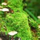 世界举重青年联赛选手成长案例集出版发行，举重世界锦标赛