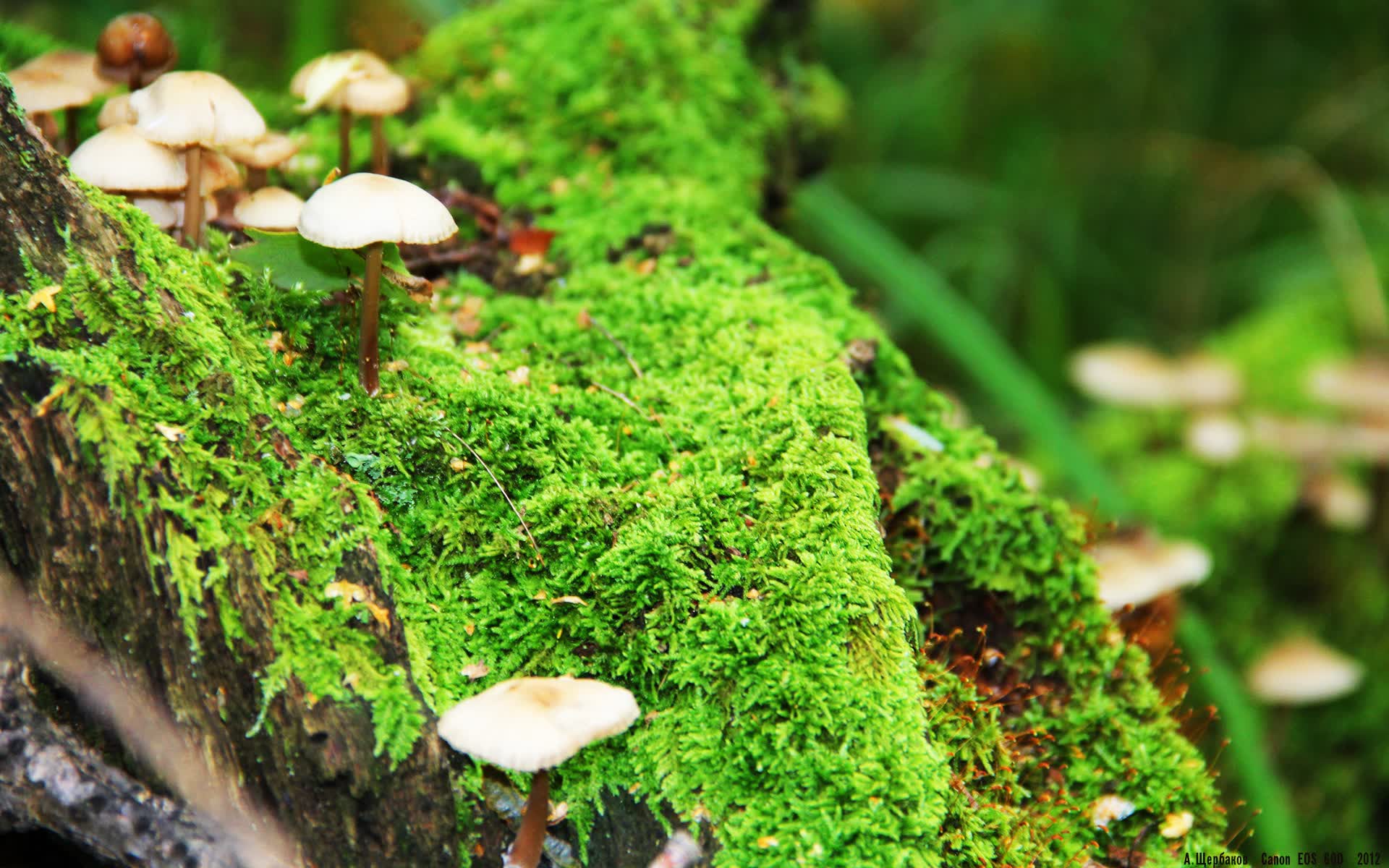 世界举重青年联赛选手成长案例集出版发行,举重世界锦标赛